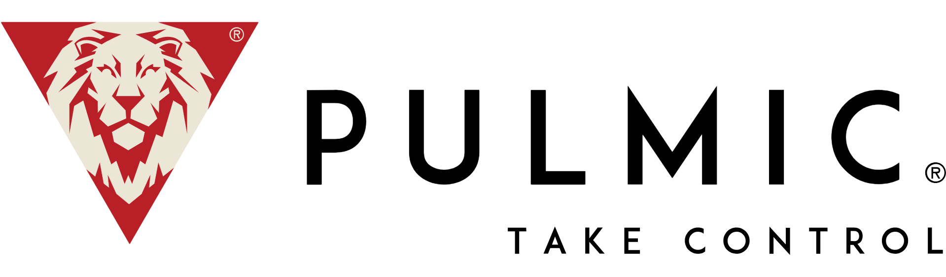Pulmic.lt
